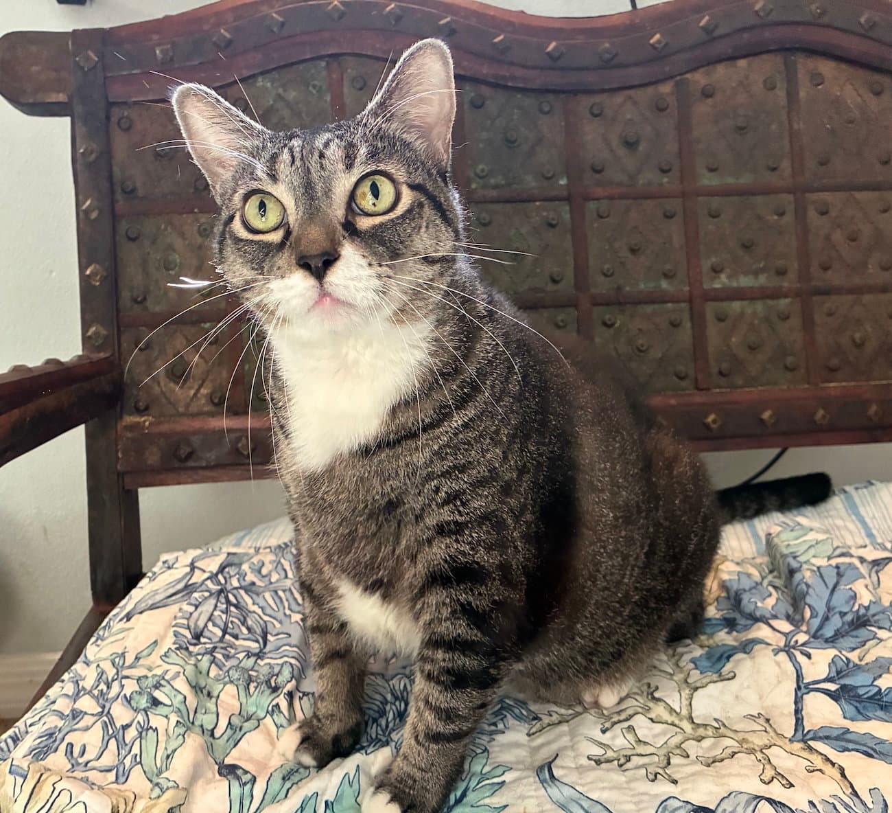 Zoe