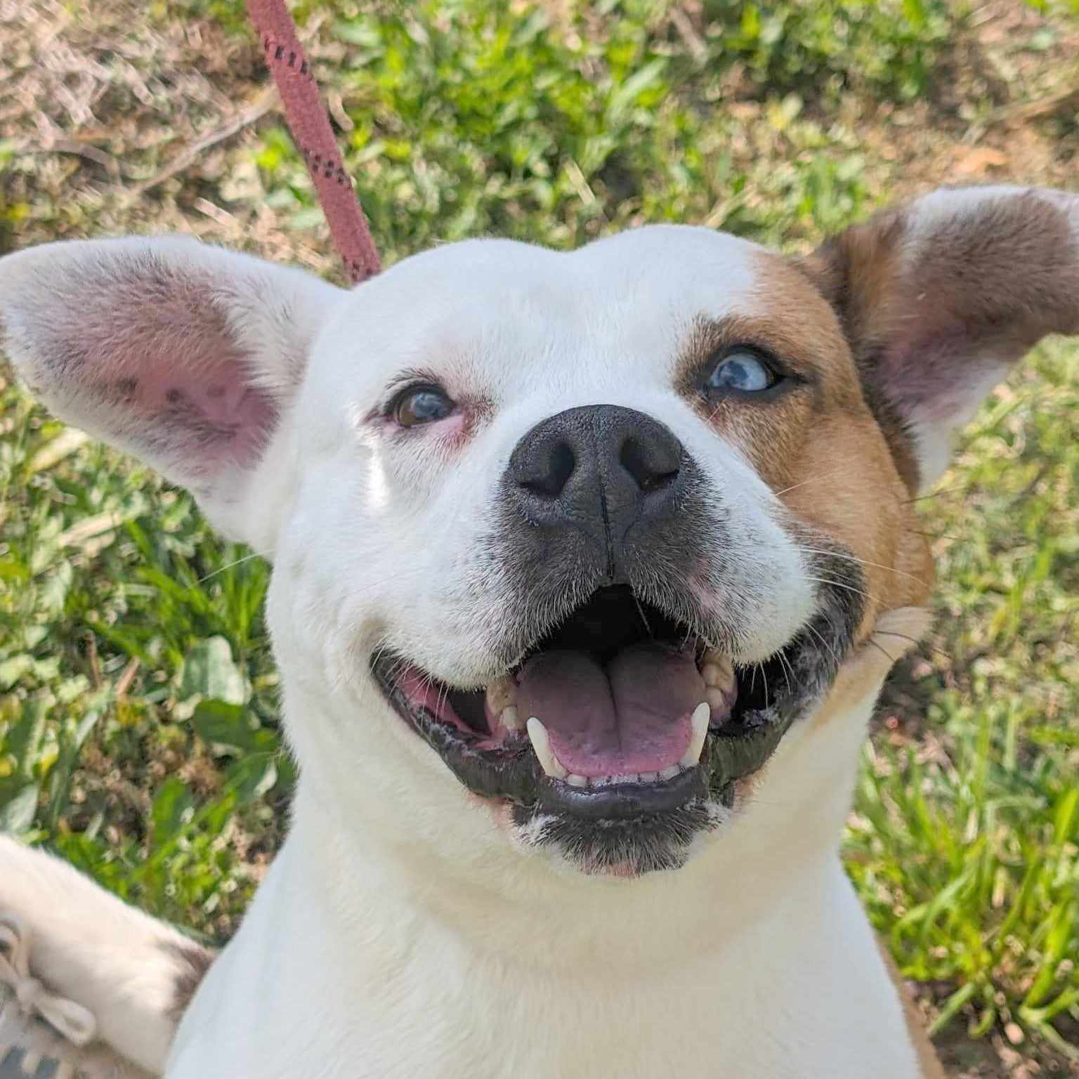 Oakley