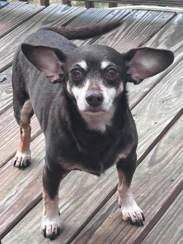 Max