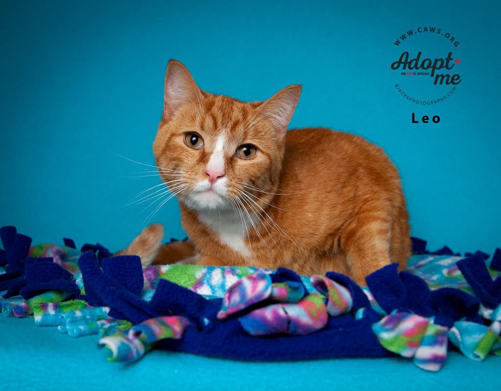 Leo