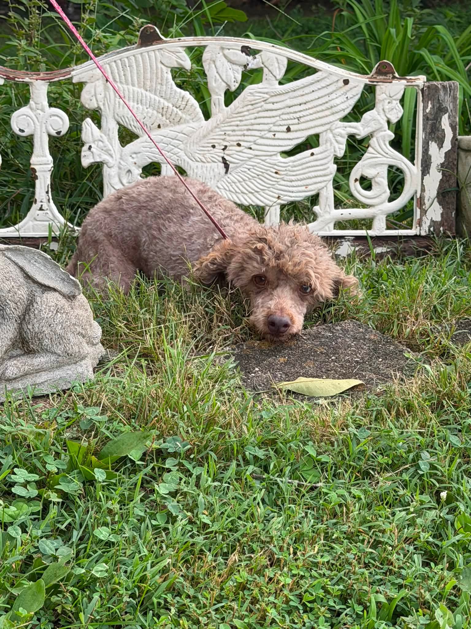 Charlie