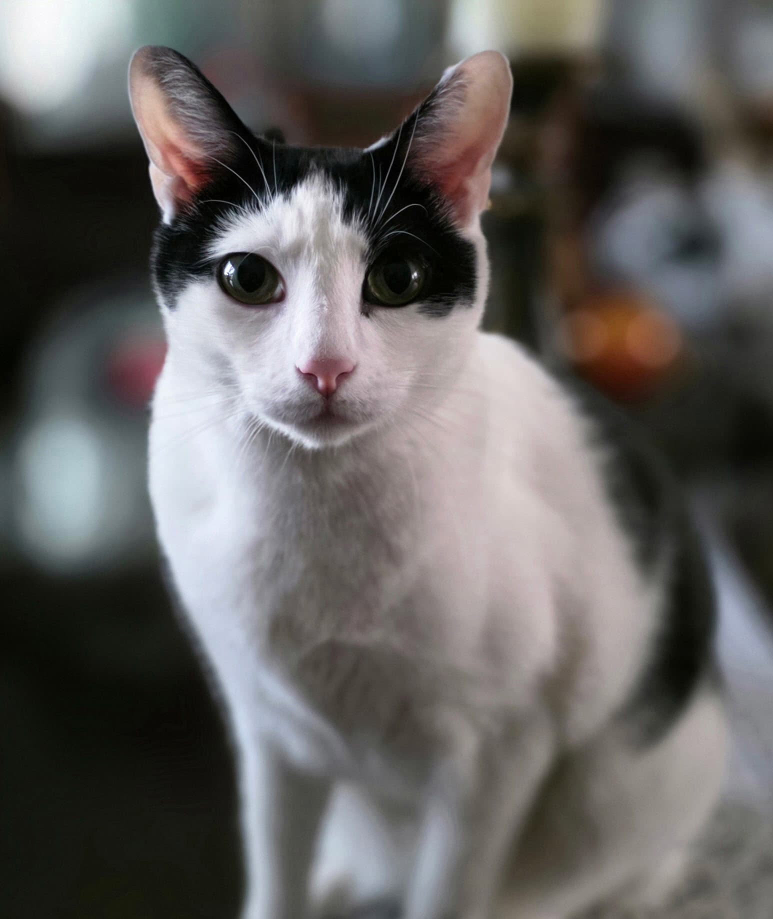 Tom