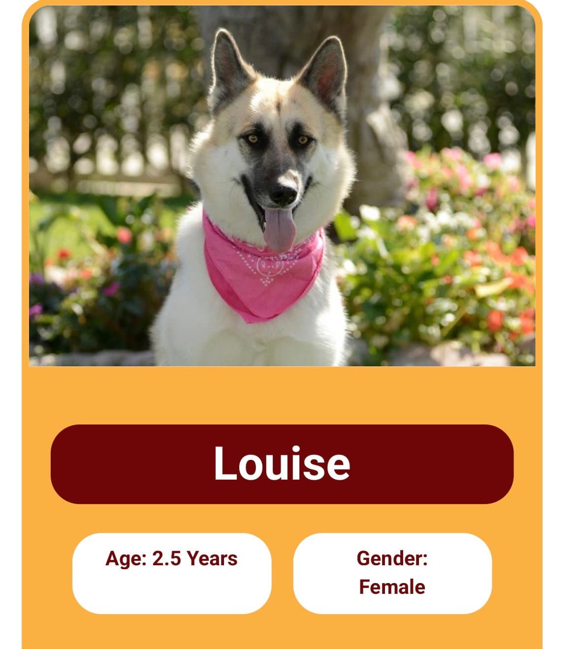 Louise and Thelma Contact Sylva