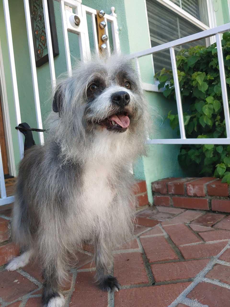 Pepper