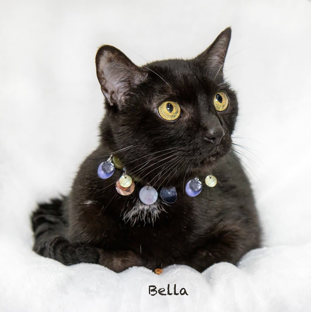 Bella