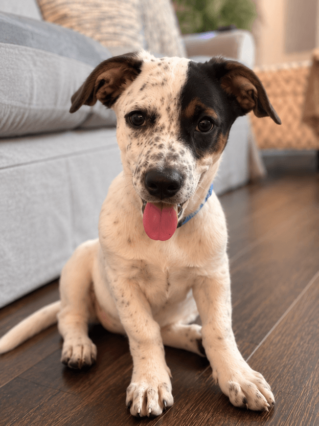 Venus - Beautiful Girl!
