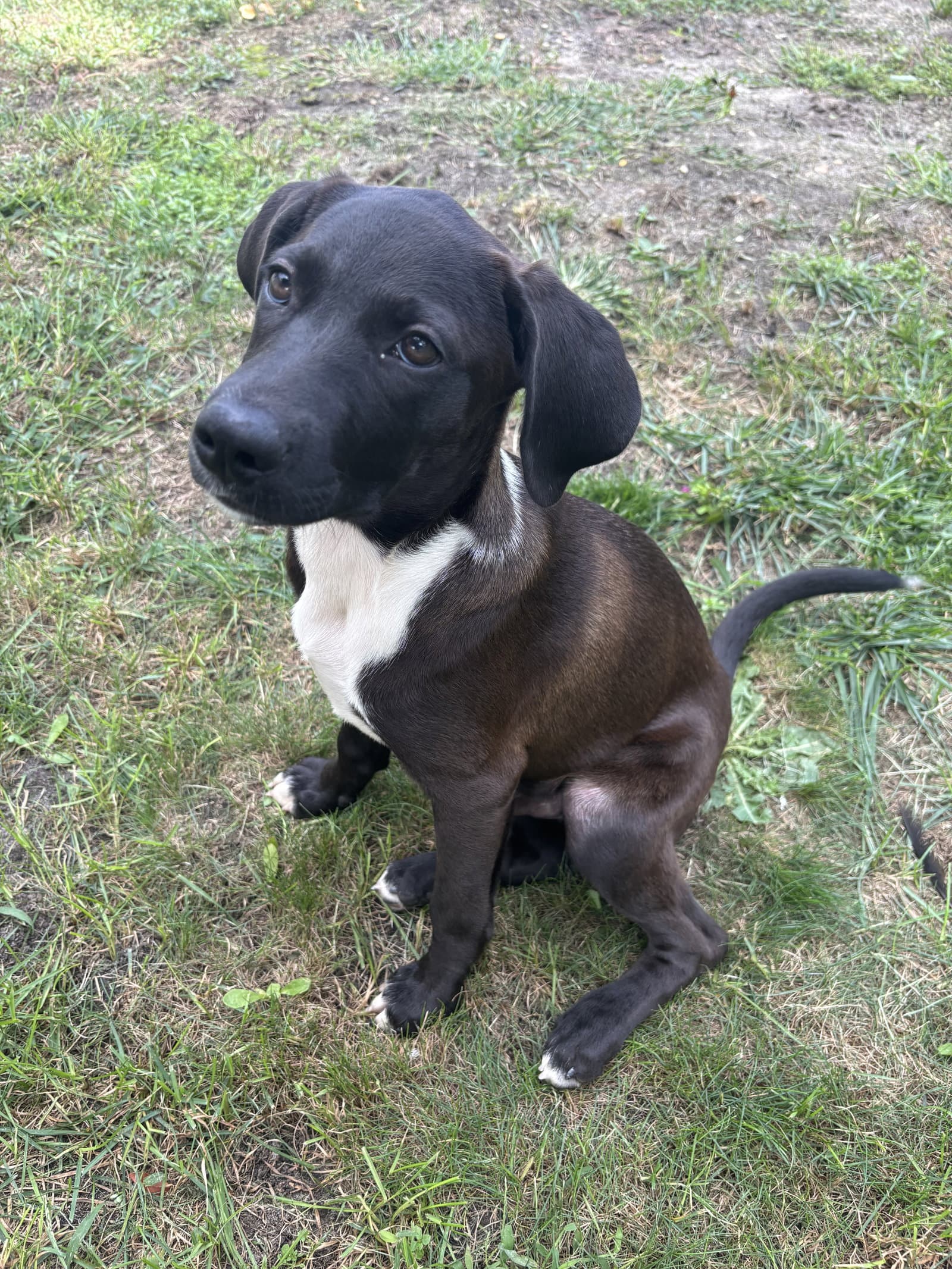 Mars – A Handsome Hunk of Chocolate!