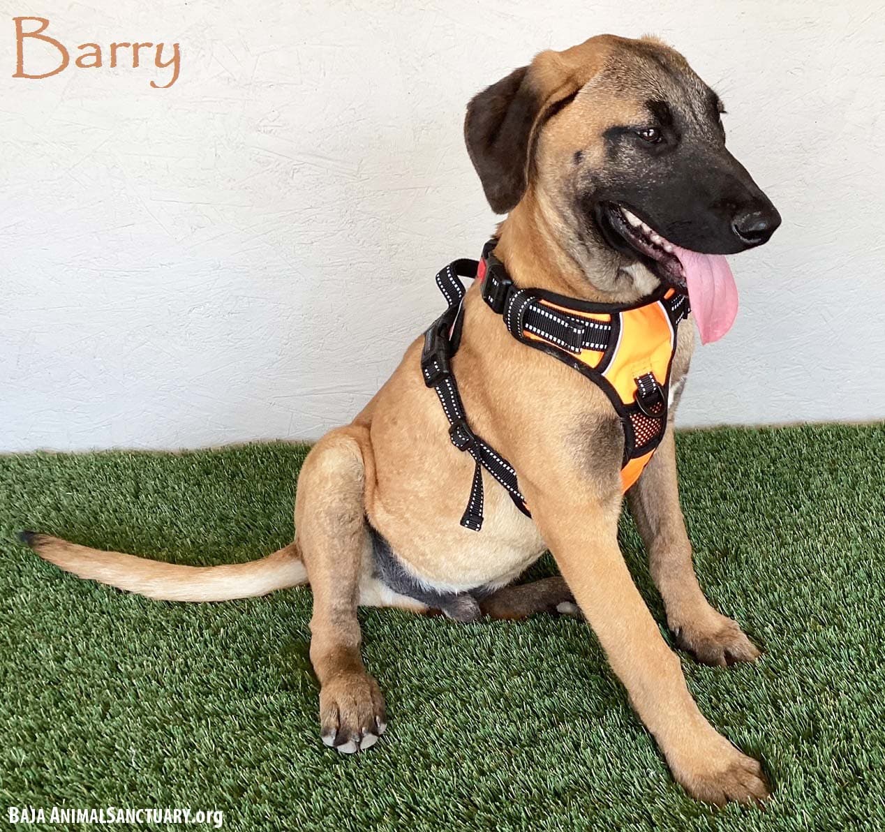 Barry