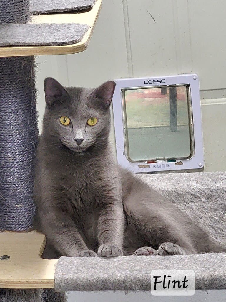 Flint