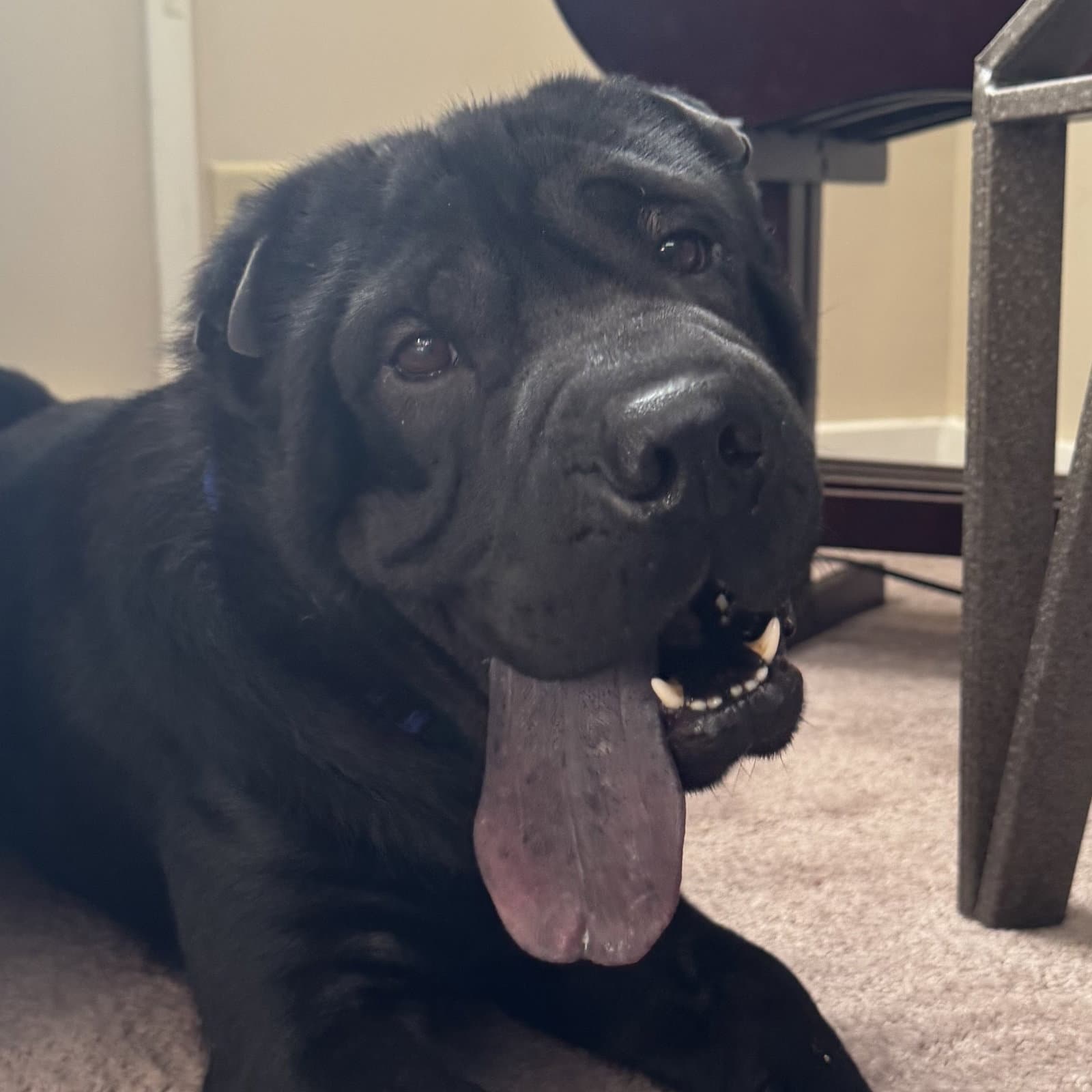 Max