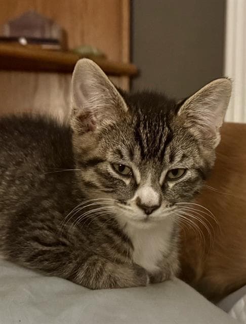 MARTY