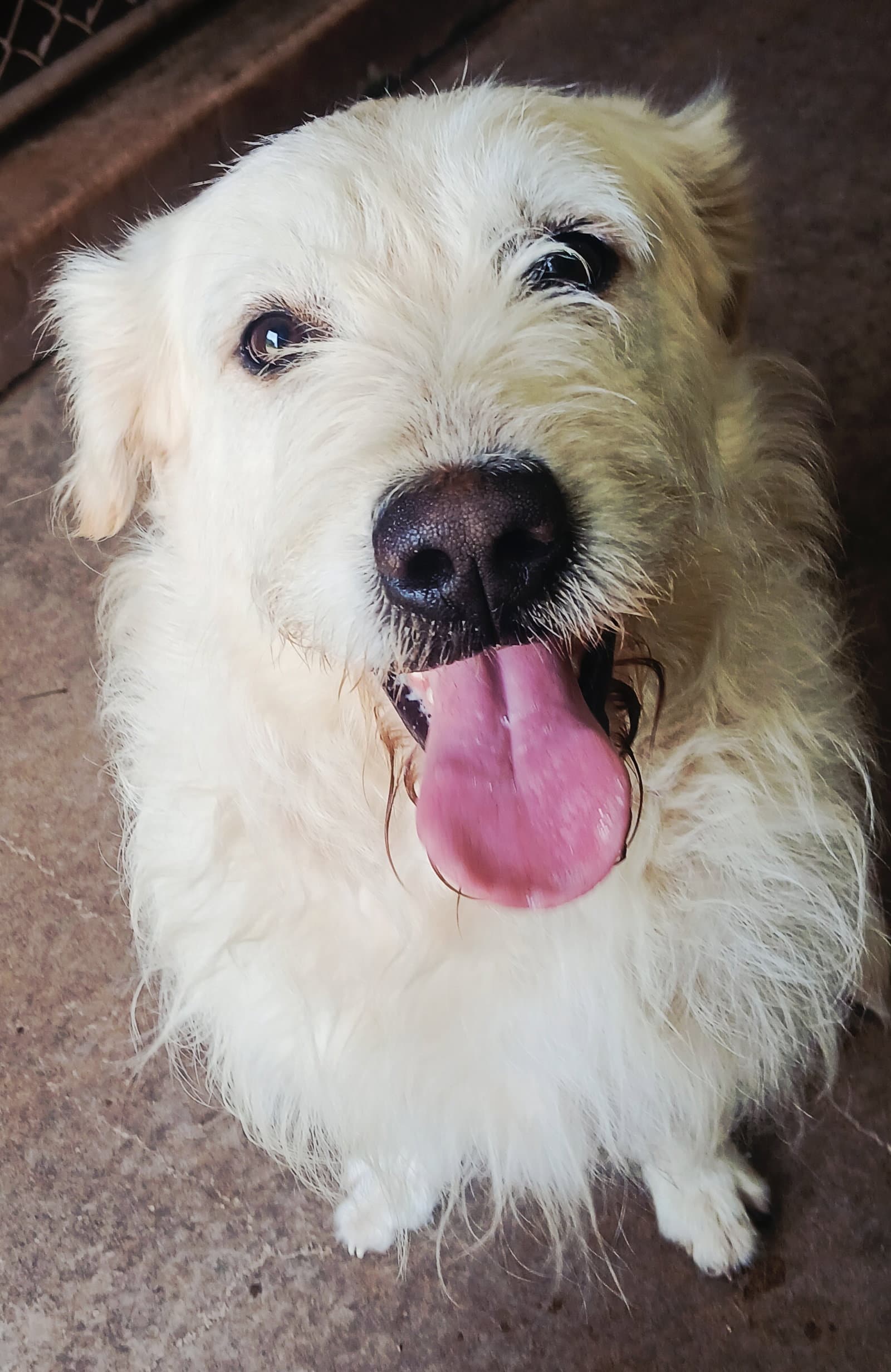 Nikko