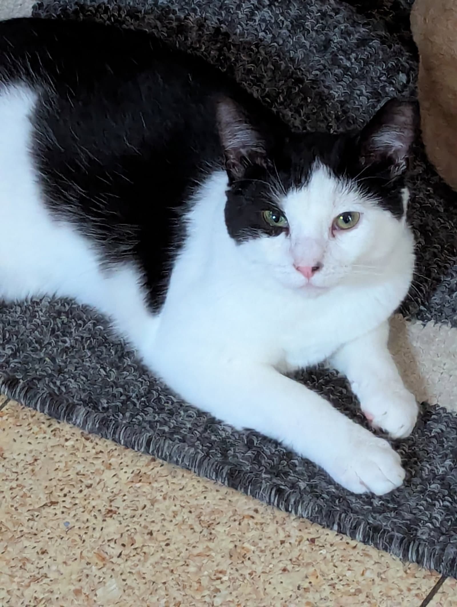 Sam