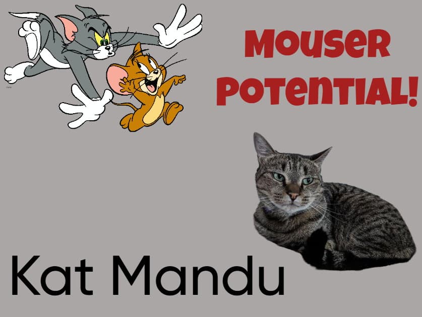 Kat Mandu