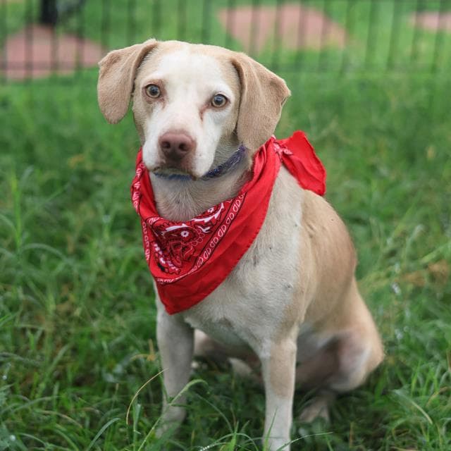 Tony