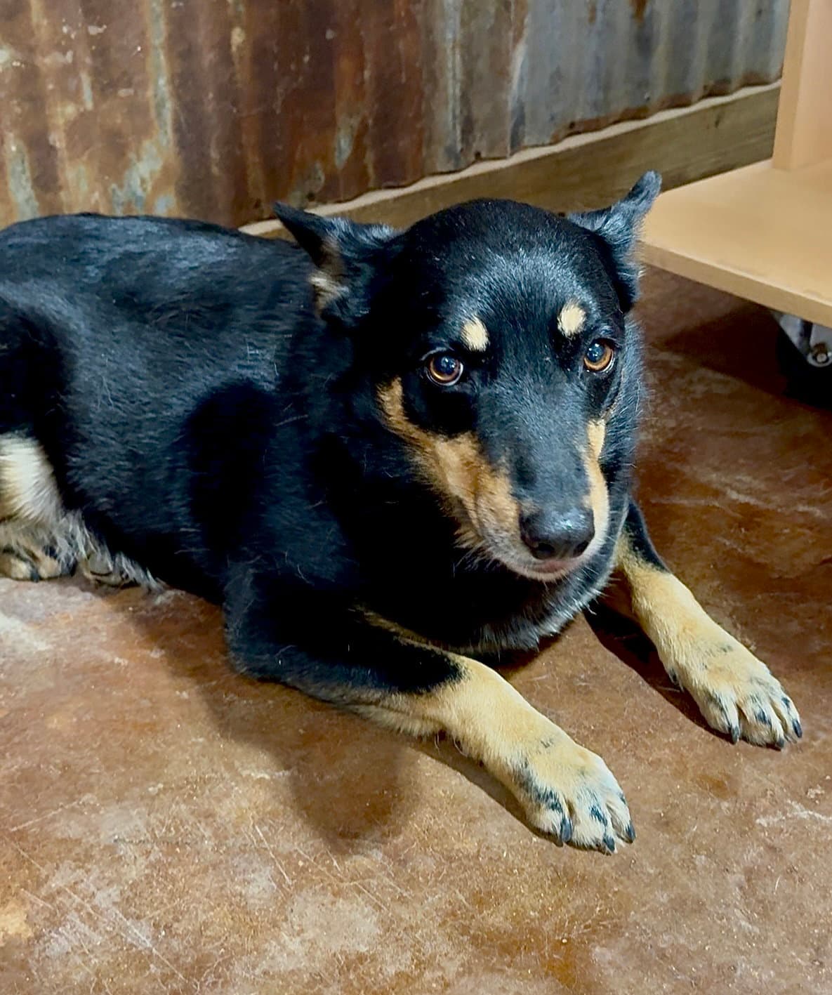 Bonnie
