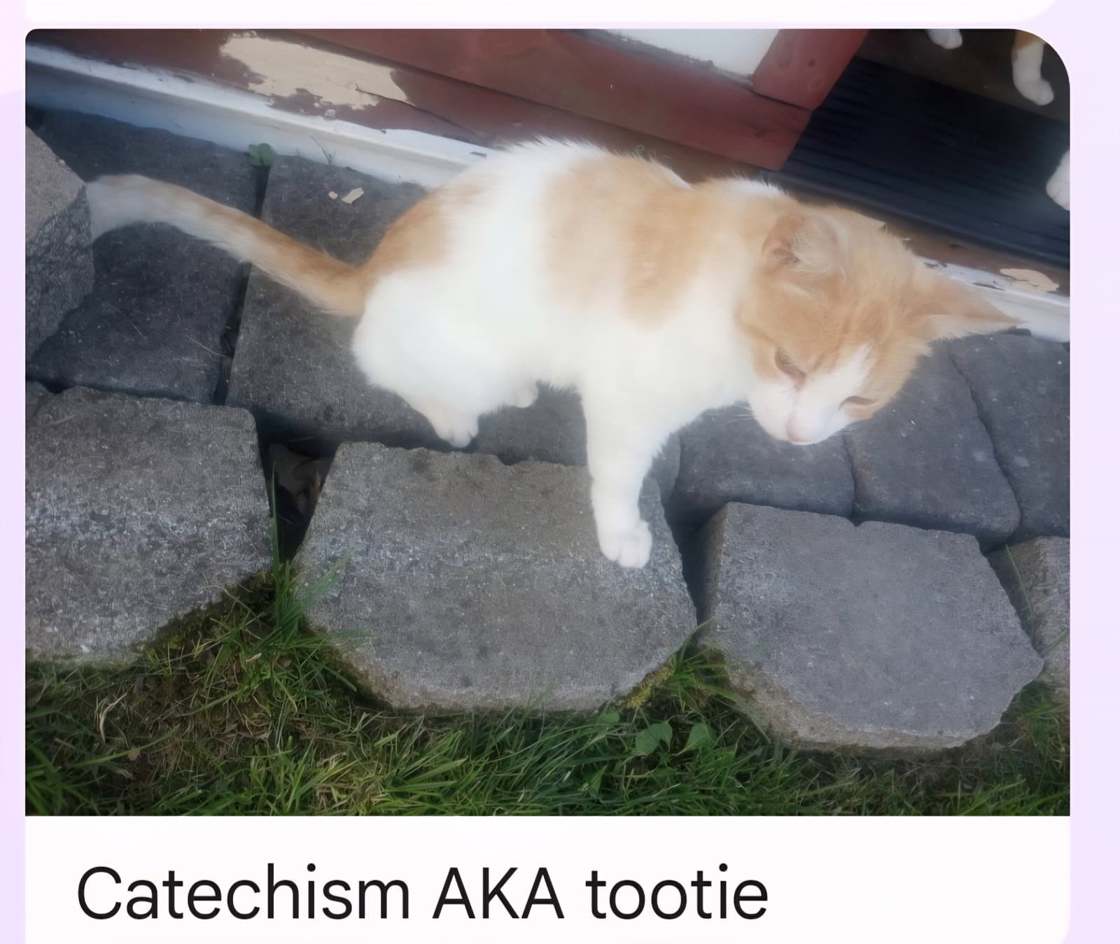 Tootie (Catechism)