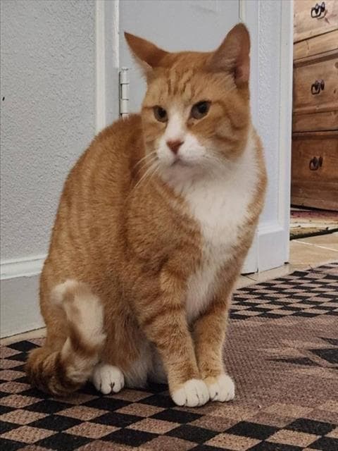 *Gus