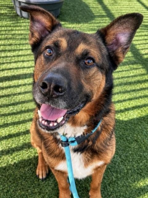 Jax