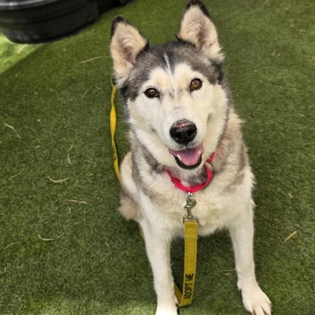 Luna