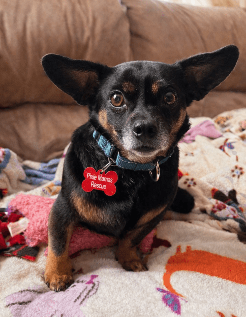 Roscoe