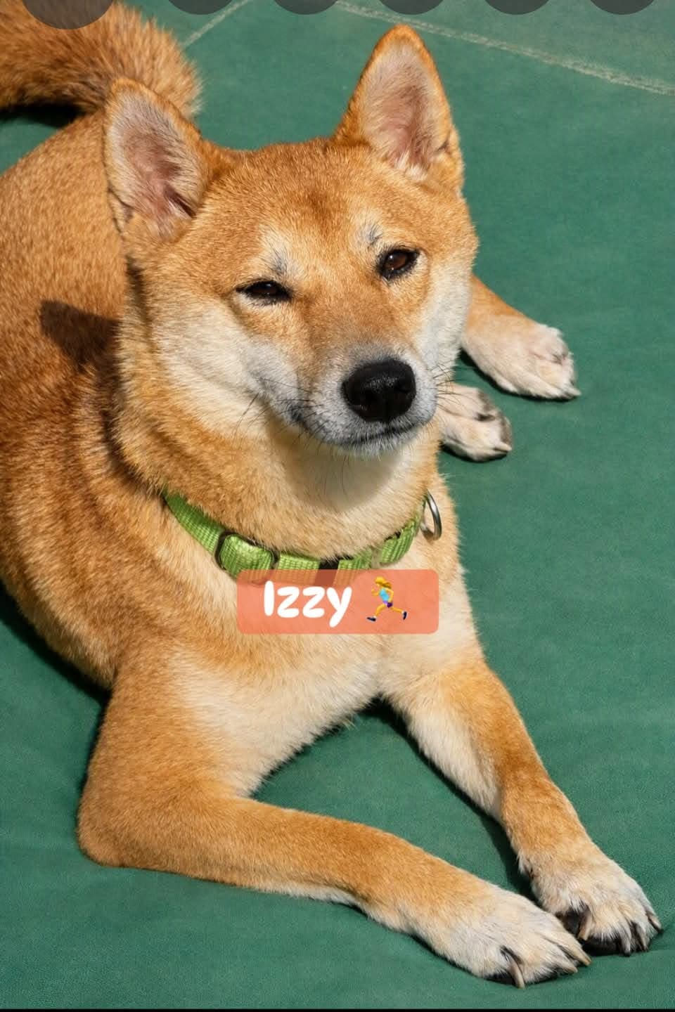 Izzy