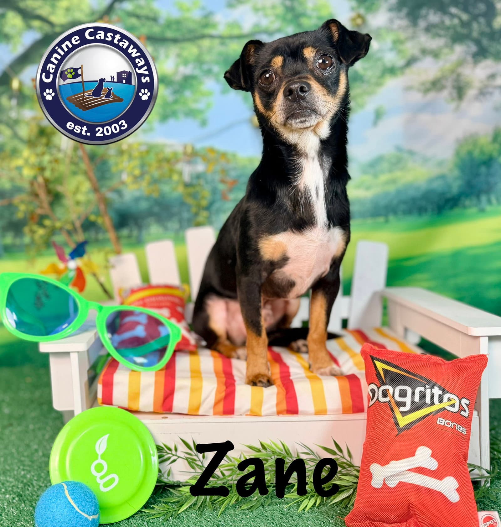 Zane