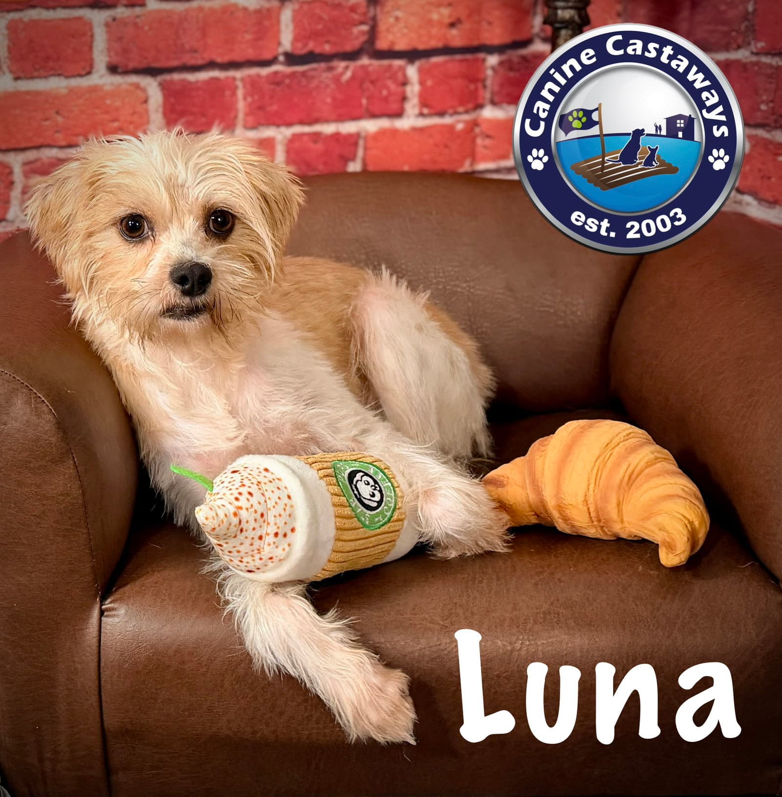 Luna