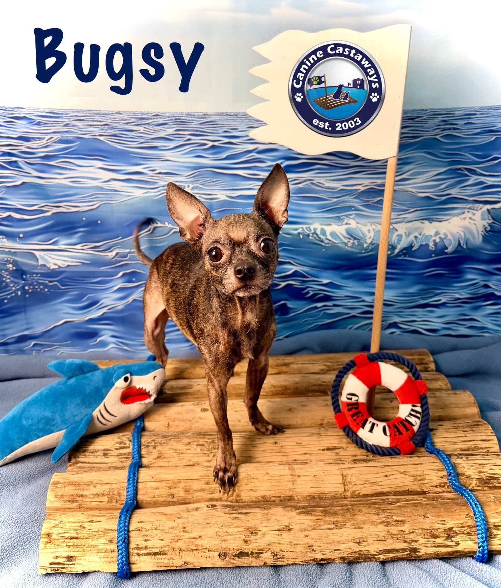 Bugsy