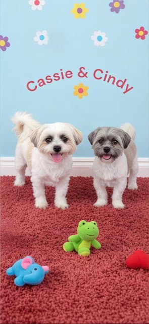 Cassie & Cindy