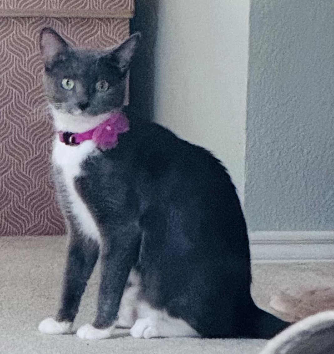 Gracie (aka “mama”)