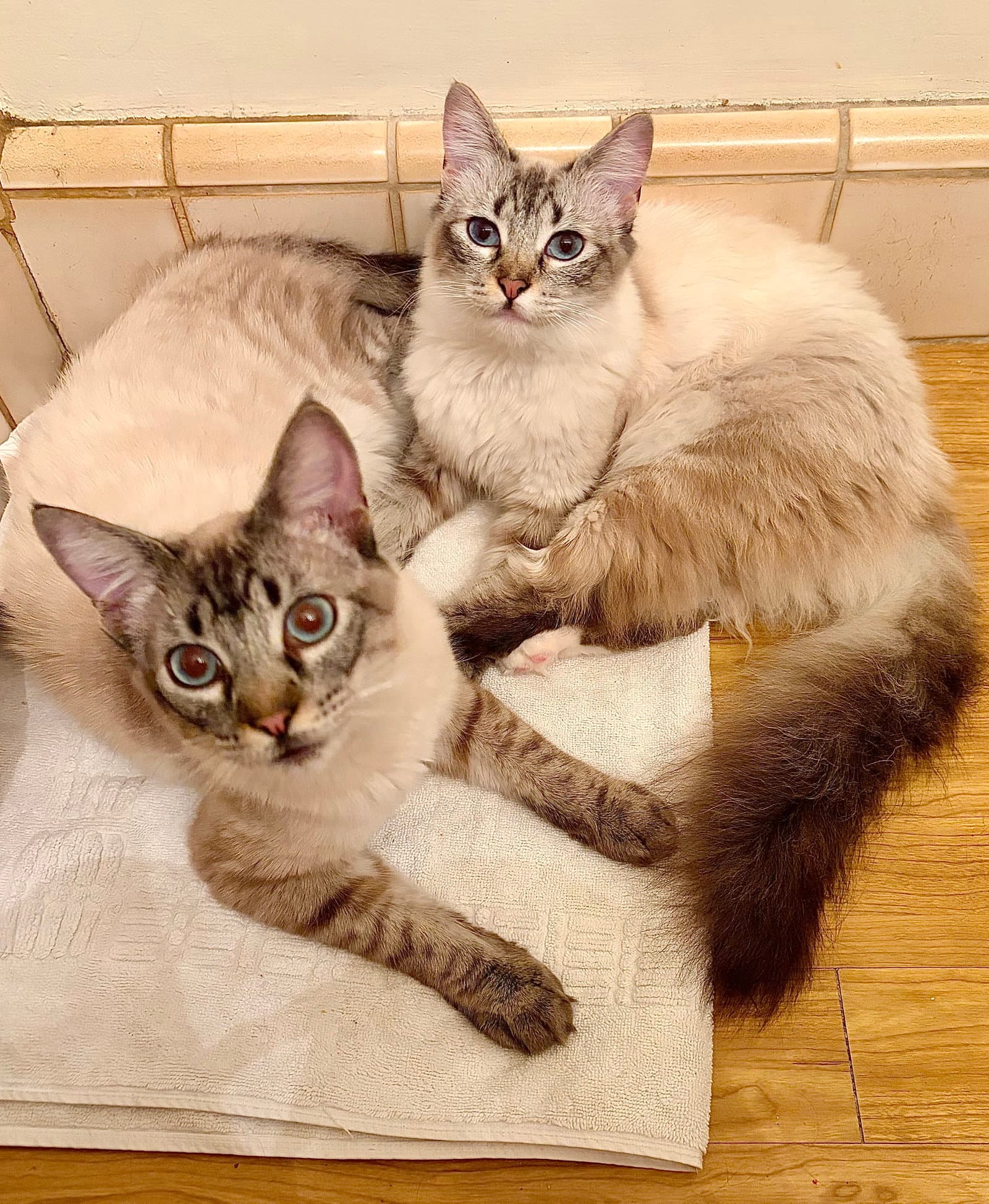 Poppie & Pip