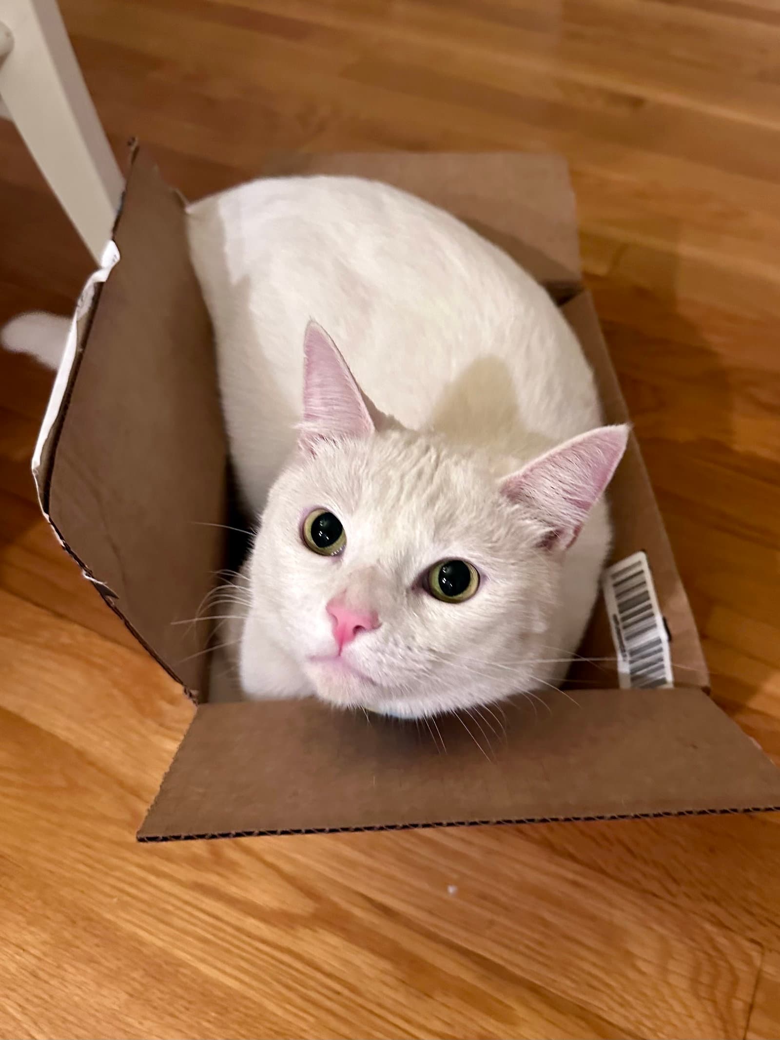 Milky
