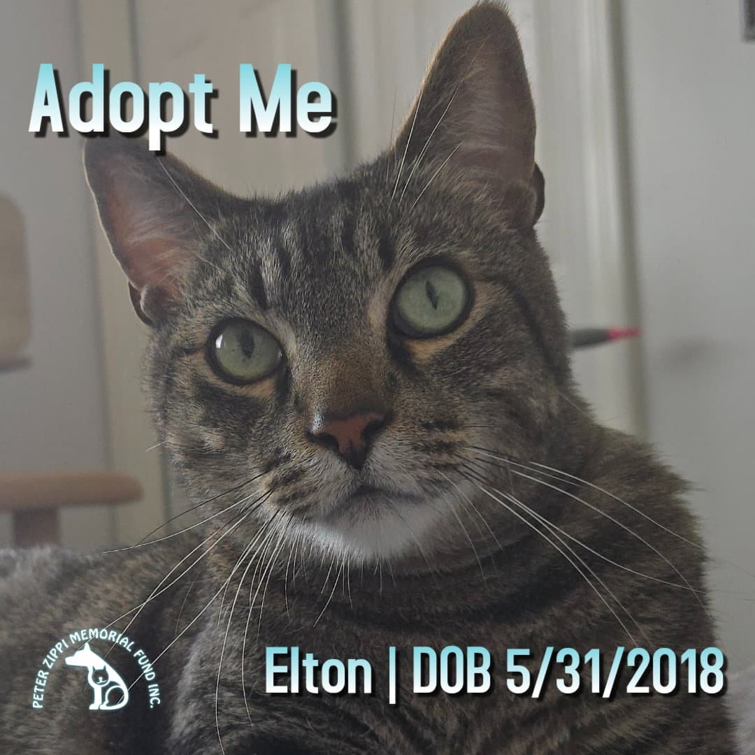 Elton