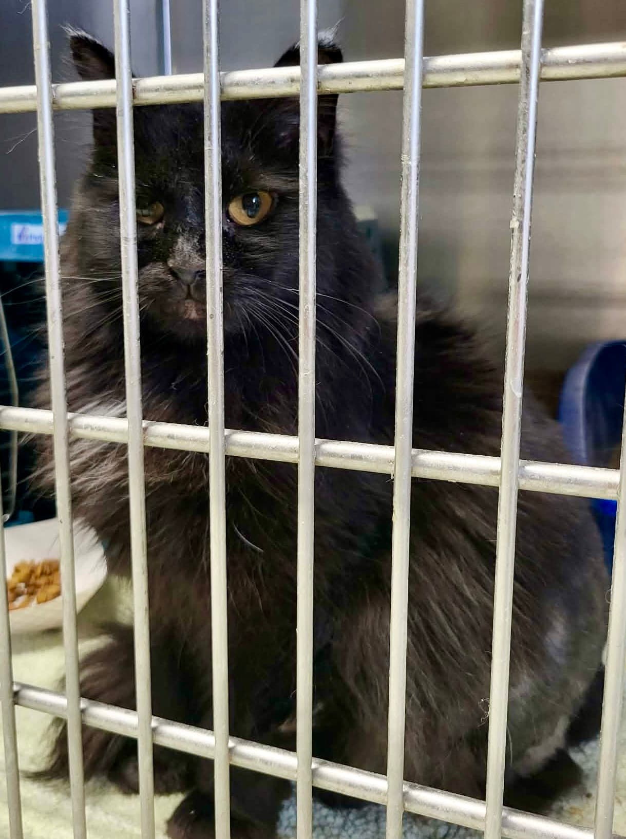 Zee