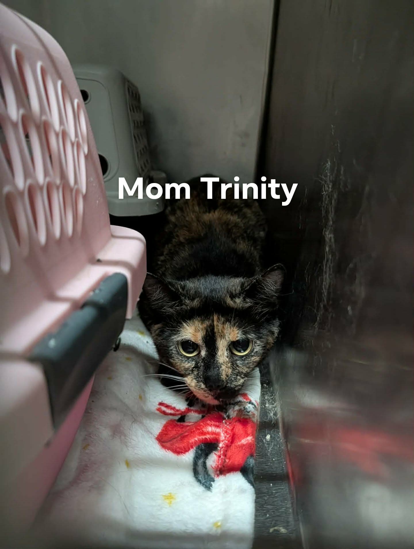 Mama Trinity