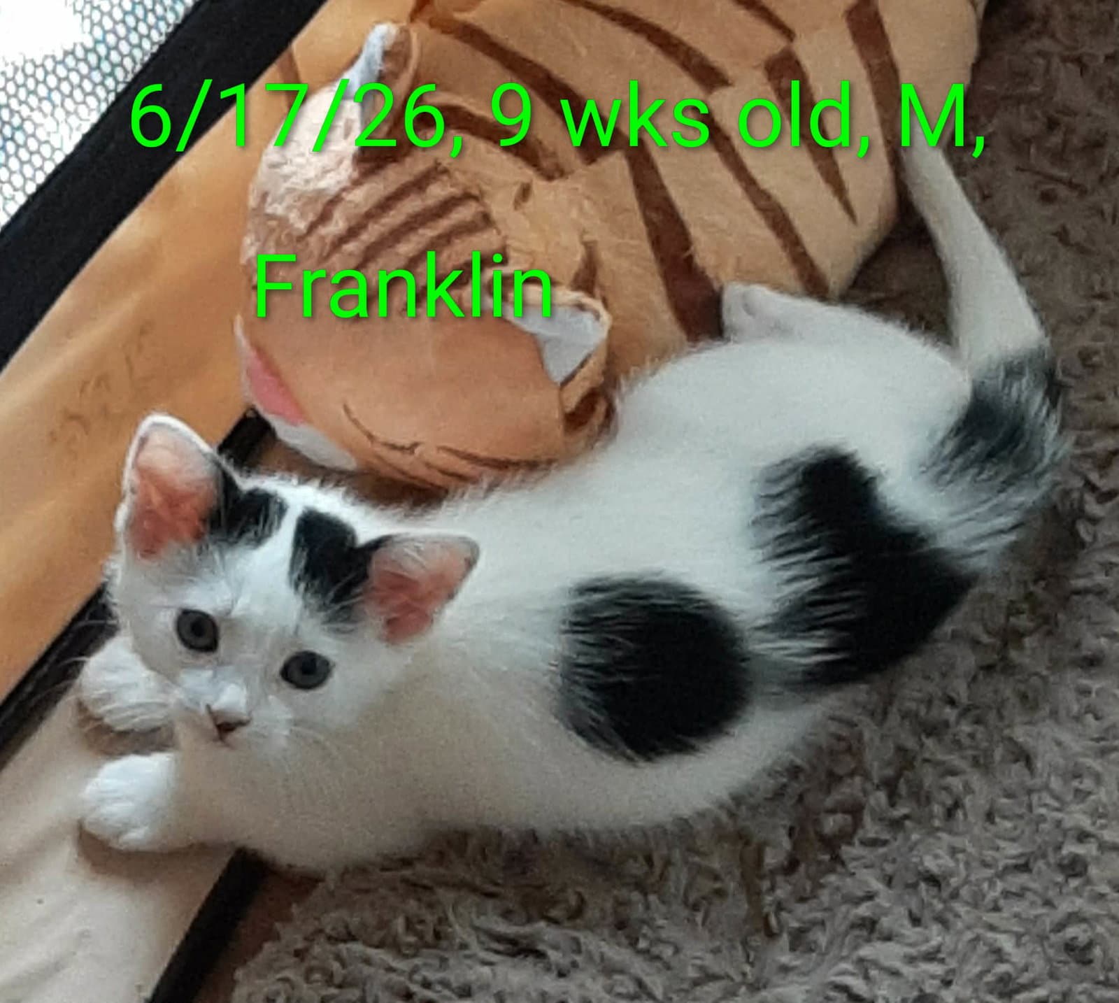 Franklin