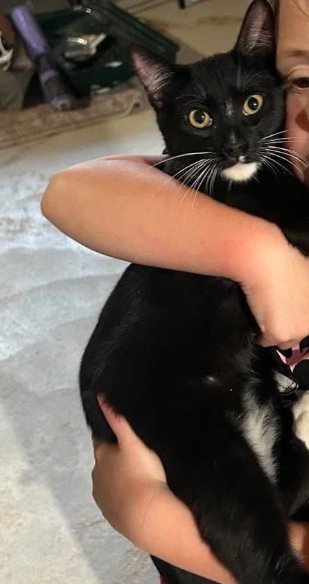 Oliver