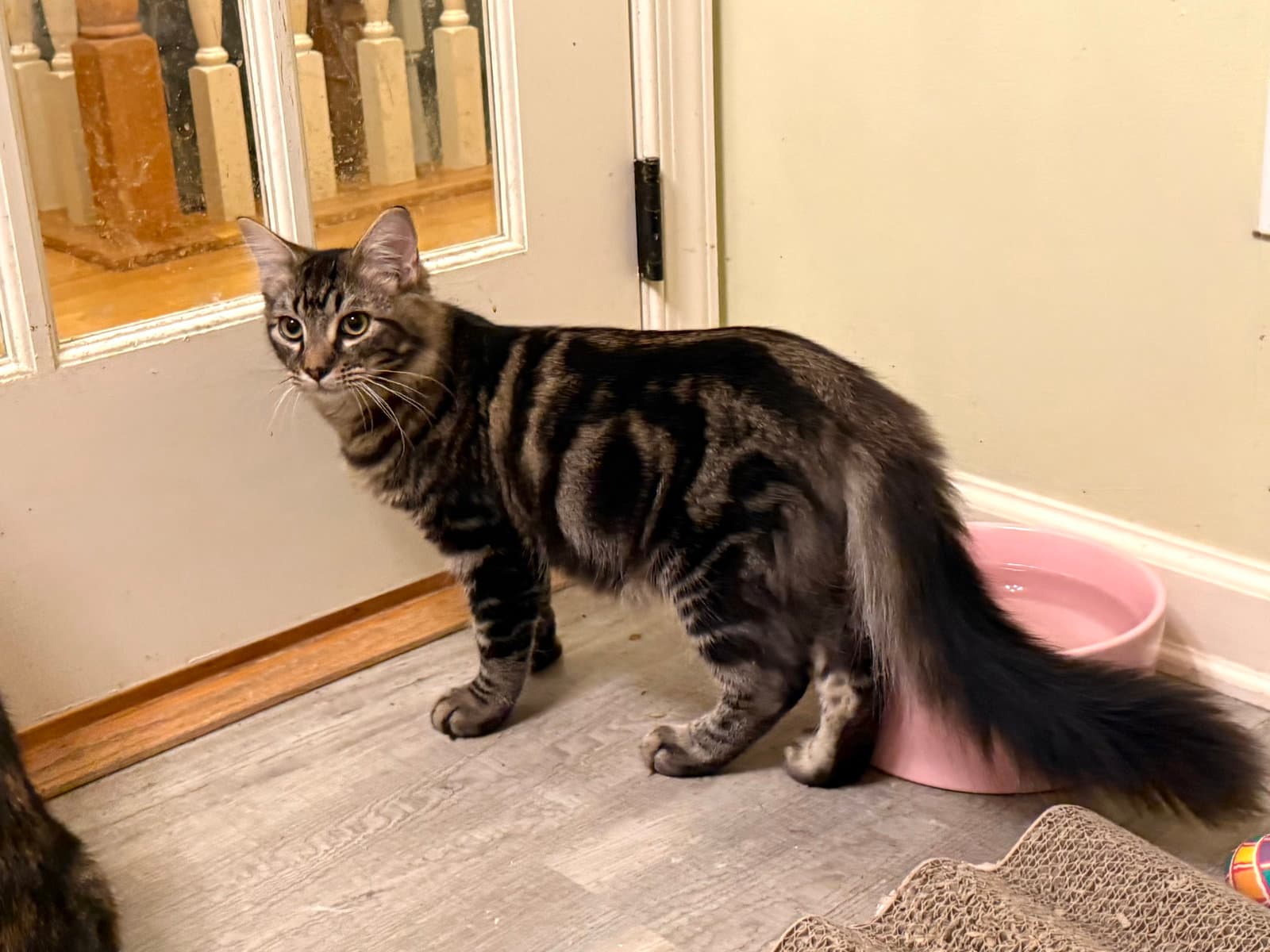 Benny