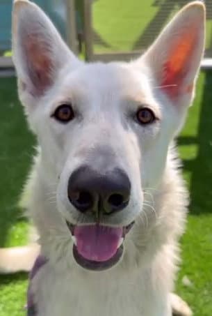 Caspar aka "Cassie"