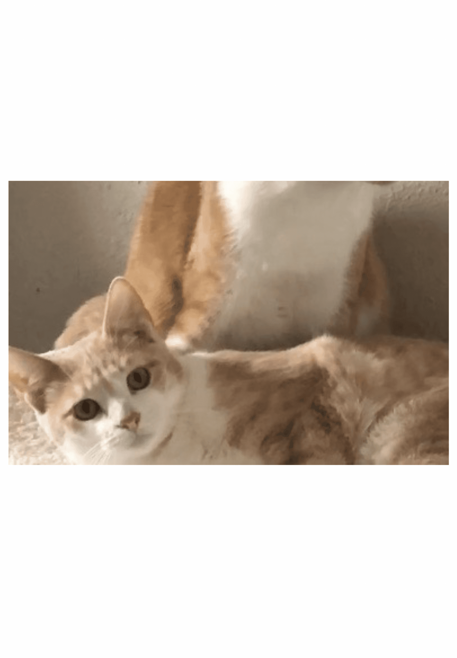 Gabriel - Courtesy Post