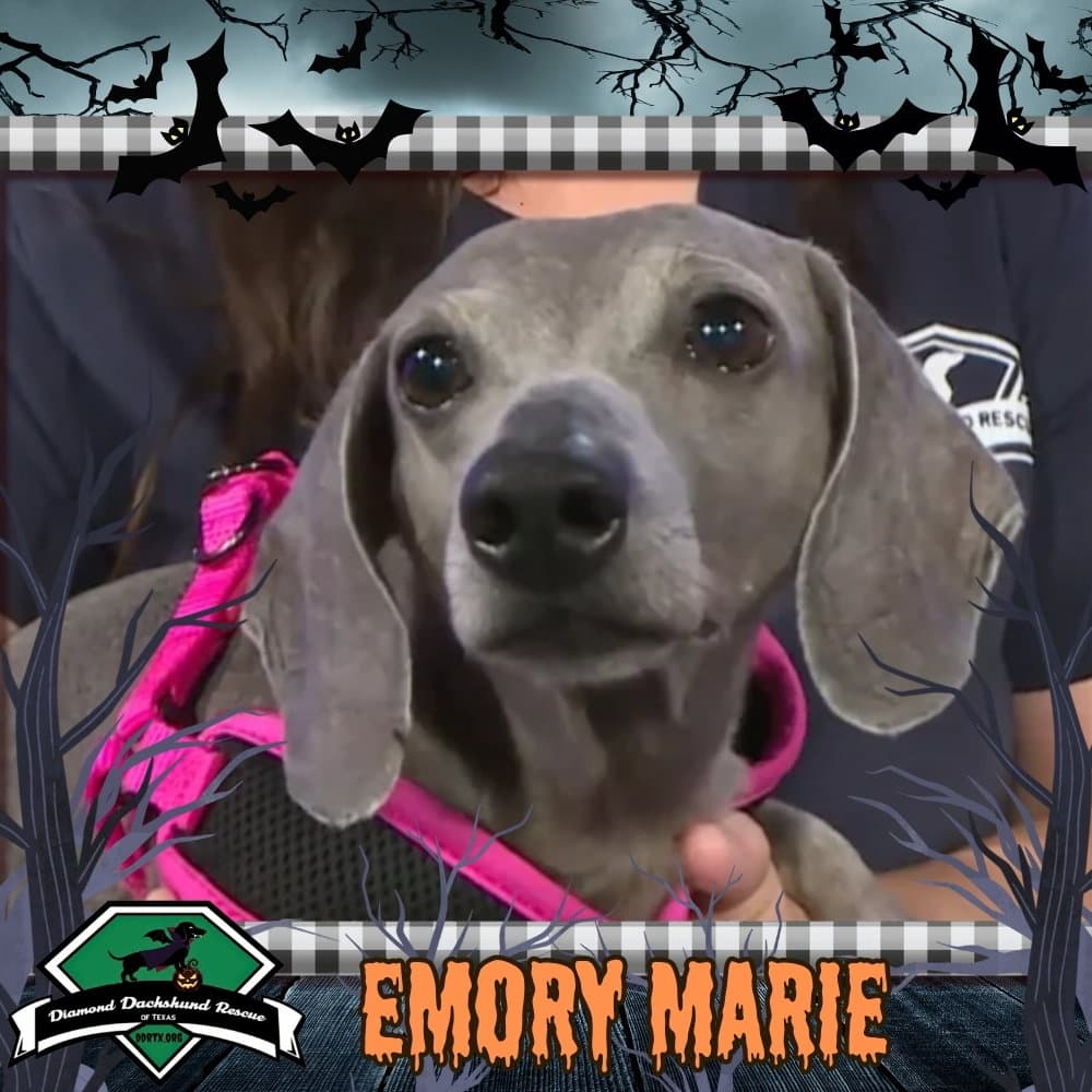 Emory Marie+