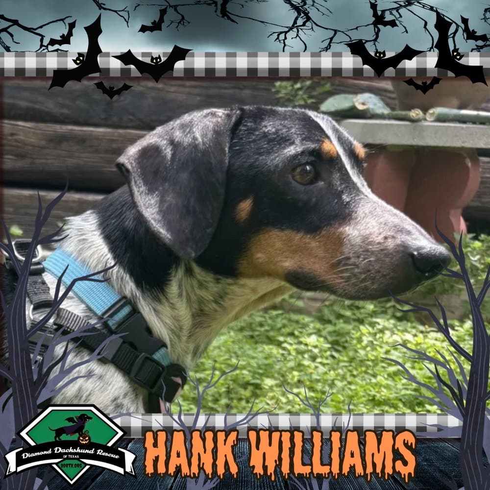 Hank Williams