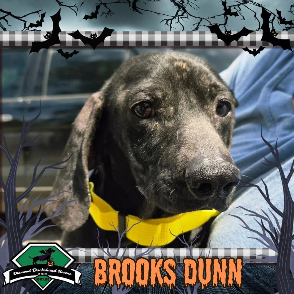 Brooks Dunn