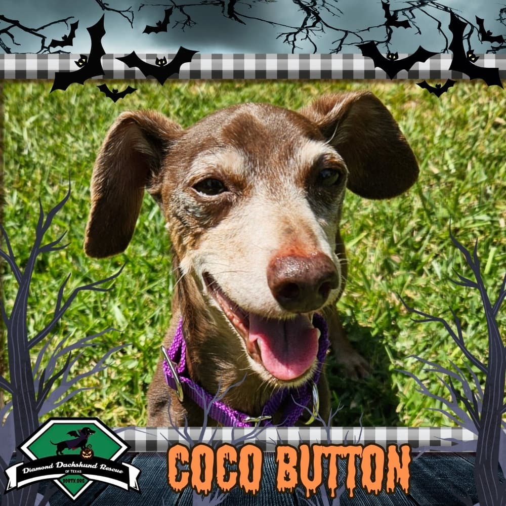 Coco Button