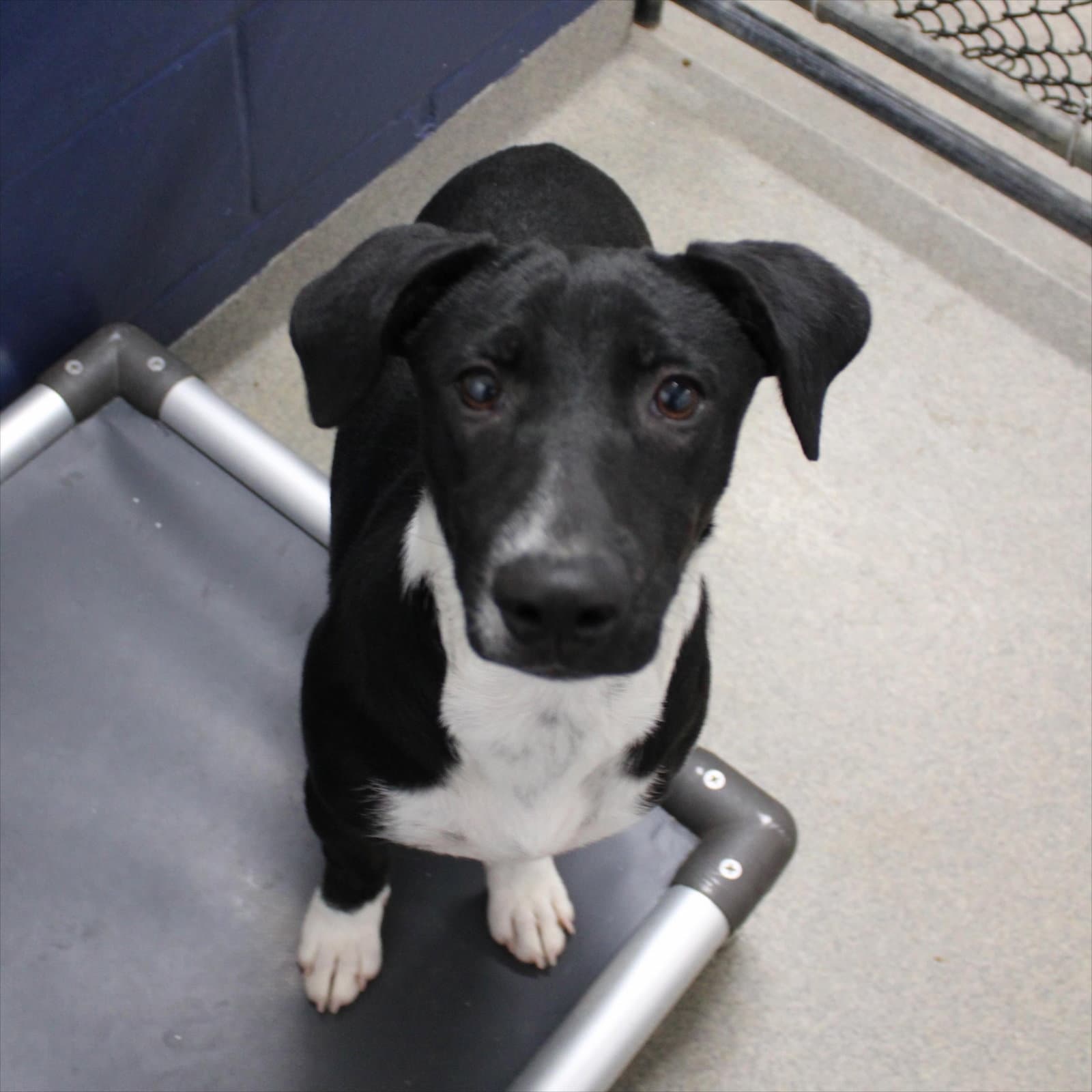 Brisa 4mo - older kids