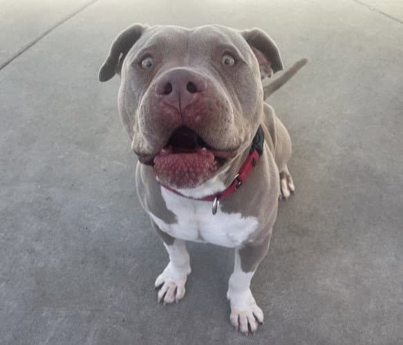 MUGSY