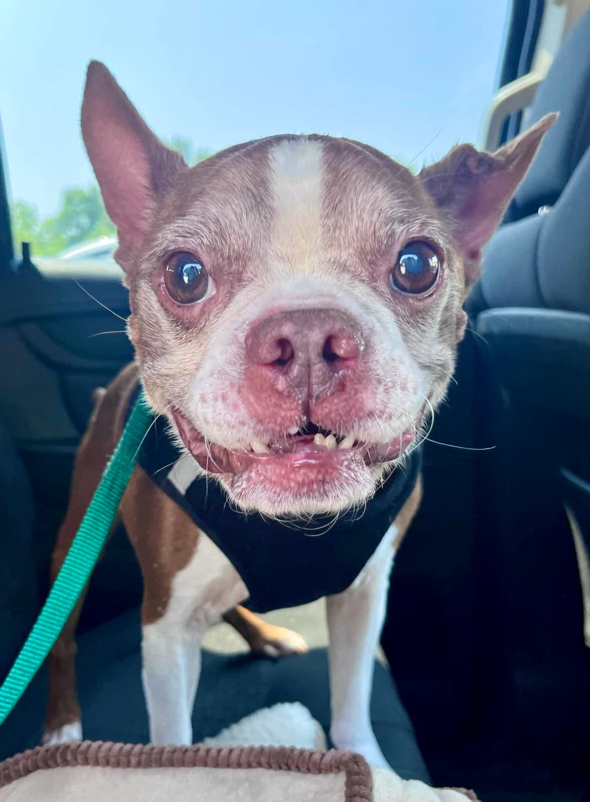Murphy - HOSPICE FOSTER