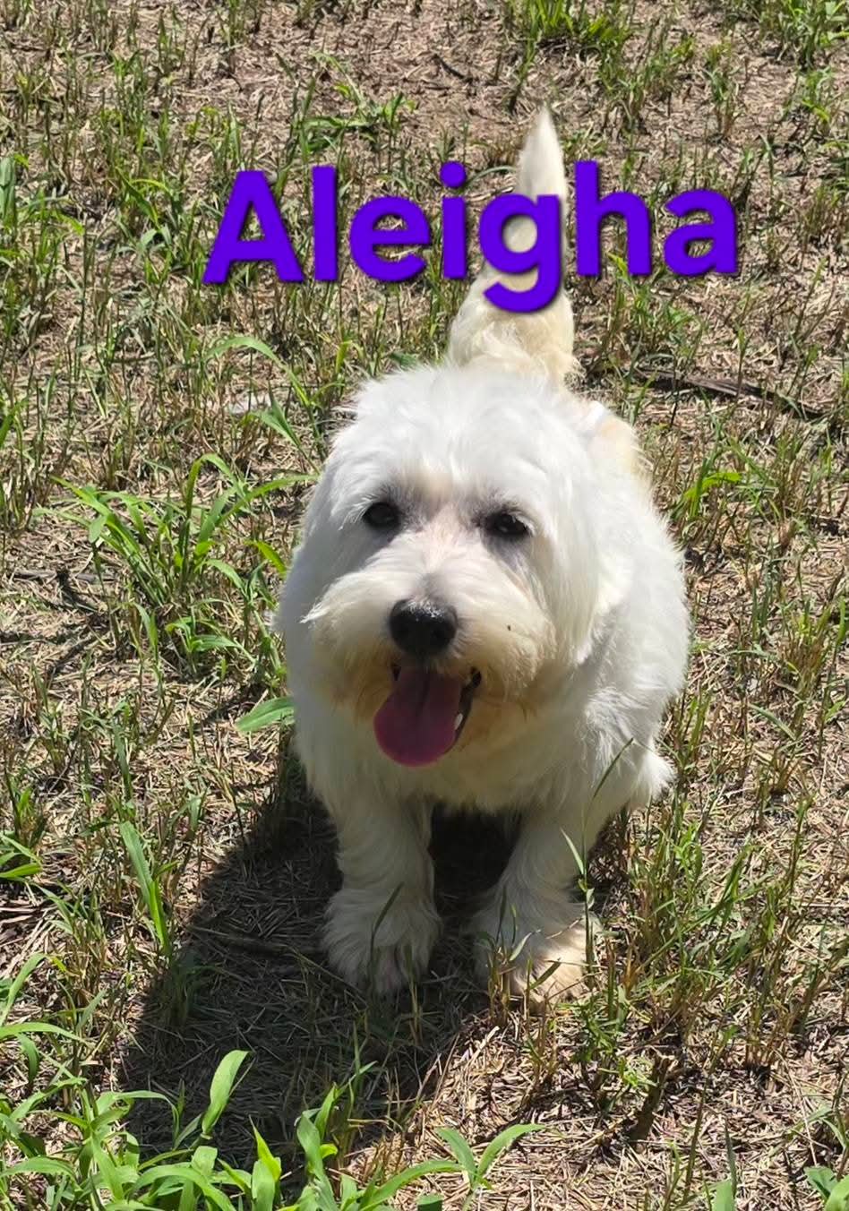 Aleigha