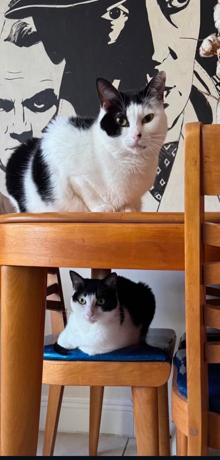 COURTESY POST: Frauncess & Kussa Sisters